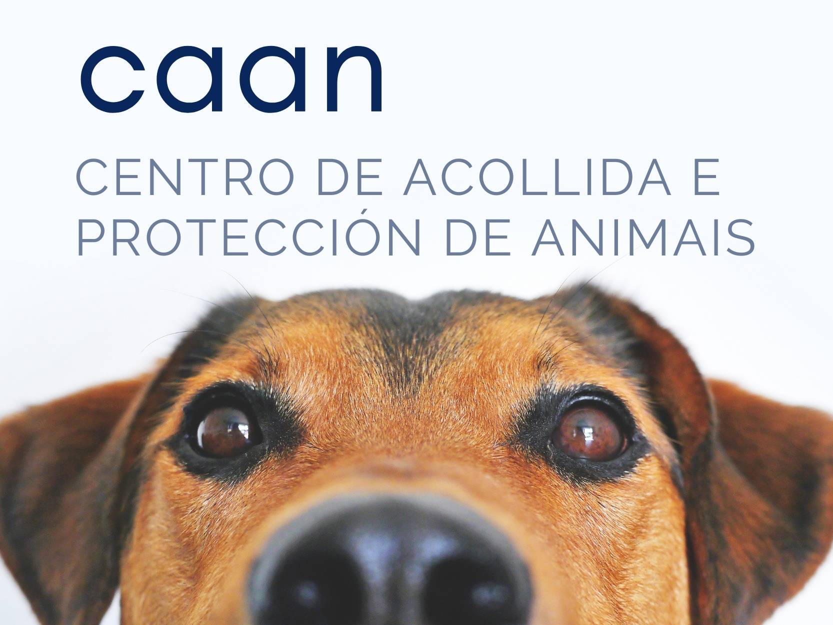 CAAN. CENTRO DE ACOGIDA Y PROTECCIÓN DE ANIMALES