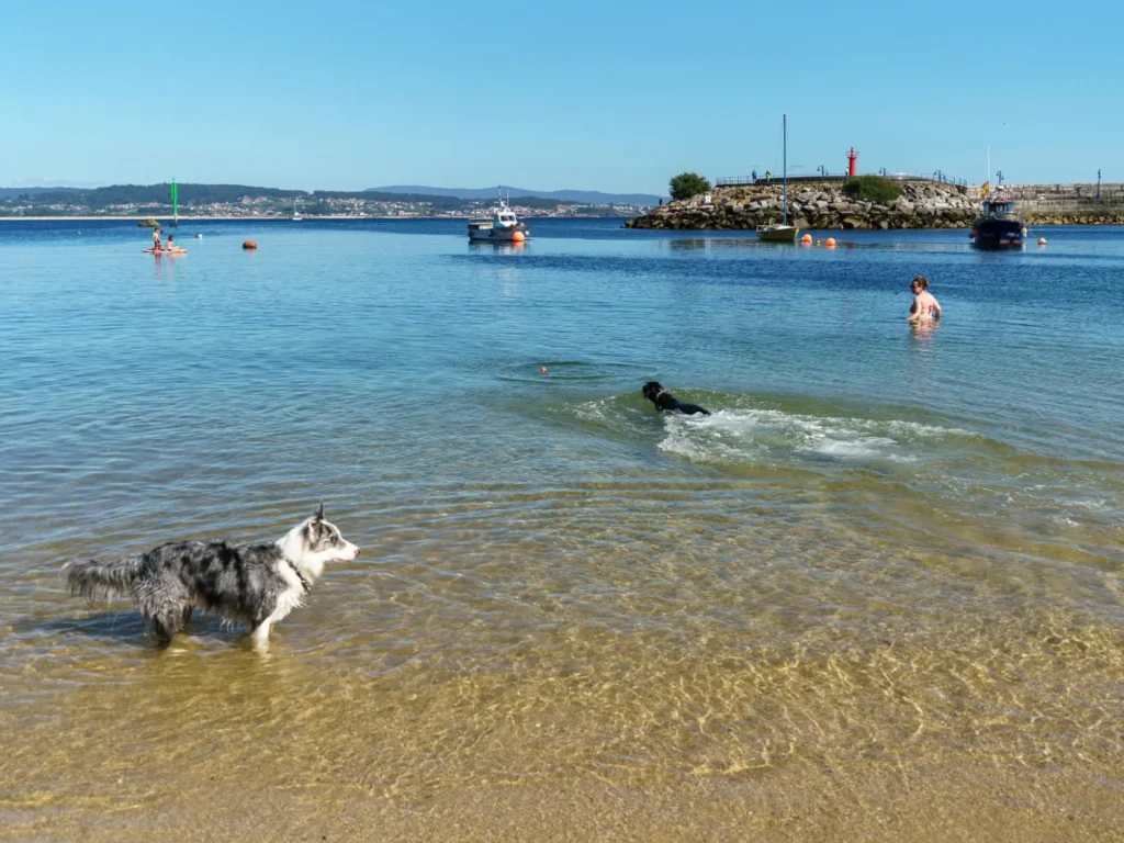 playa de o espiño