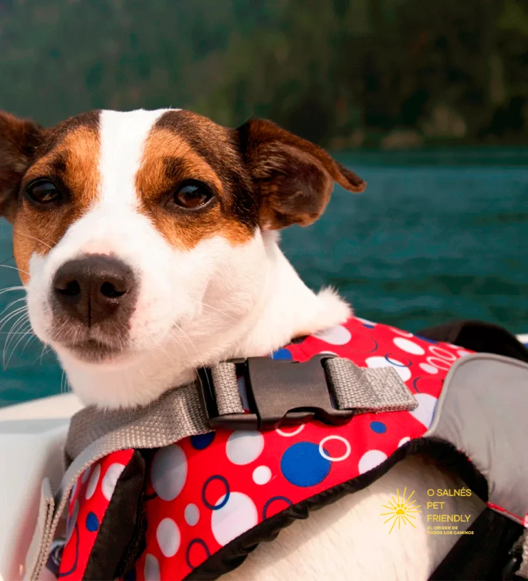 LOGO-CORRECTO-PERRO-AGUA-PARA-MÓVIL