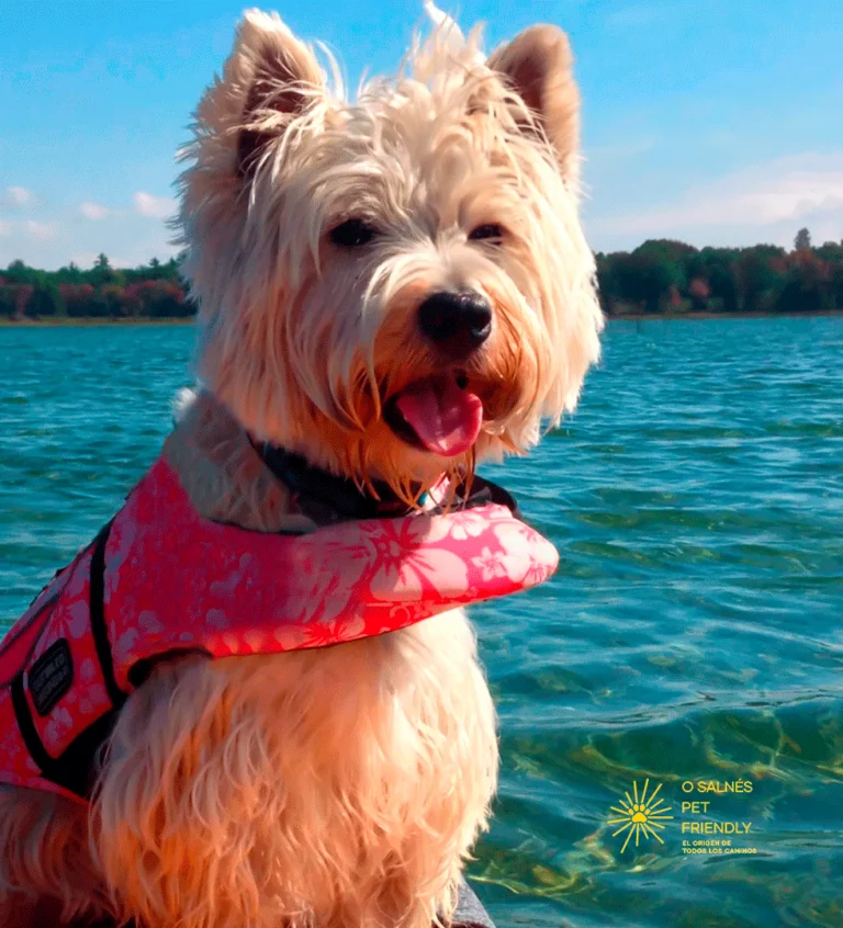 PORTADA-PERRO-SALNÉS