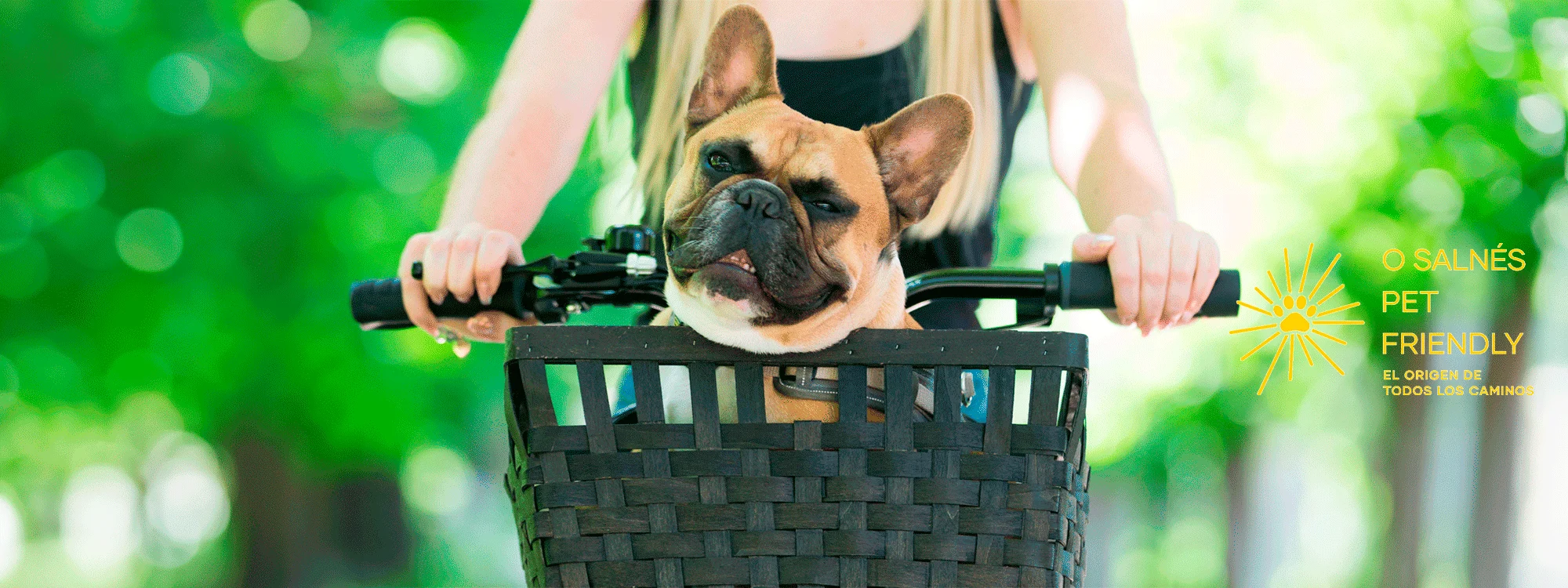 LOGO-CORRECTO-BICICLETA-PARA-PC