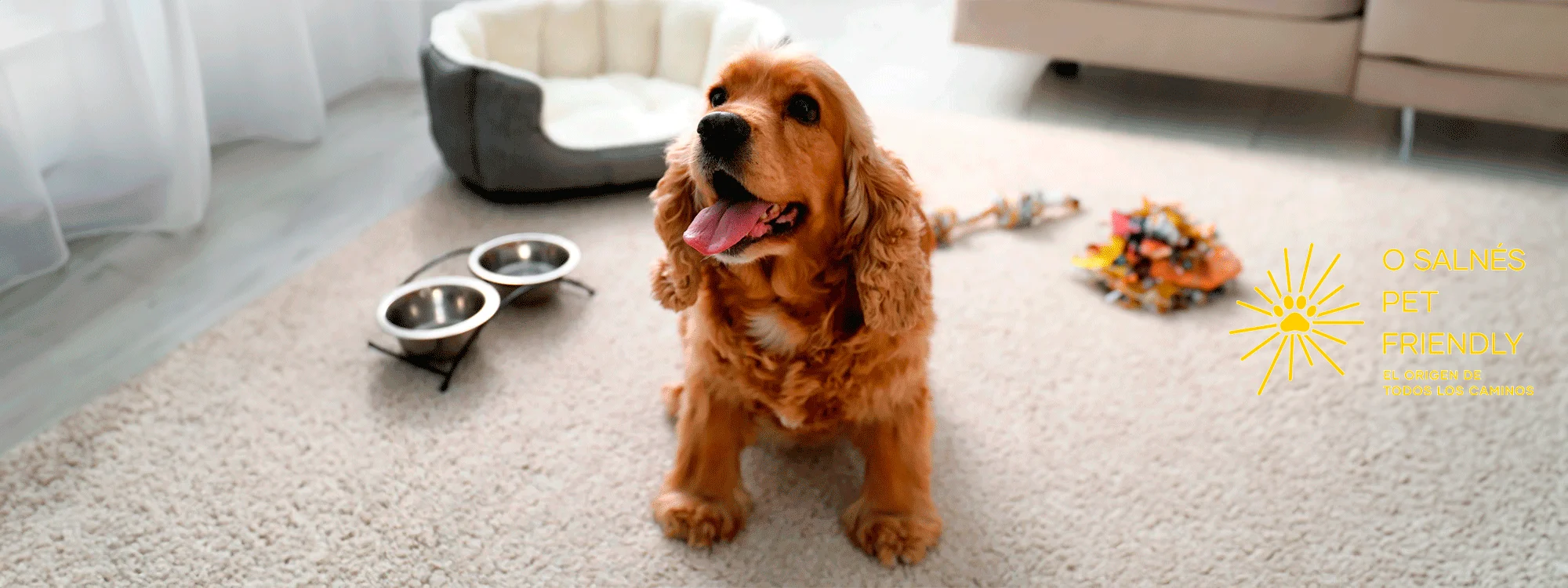 LOGO-CORRECTO-PORTADA-PERRO-PETFRIENDLY