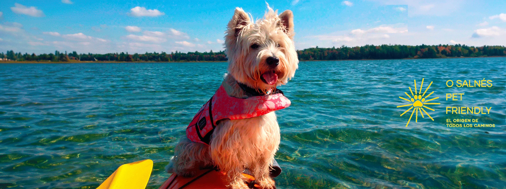 LOGO-PERRO-EN-AGUA-PC