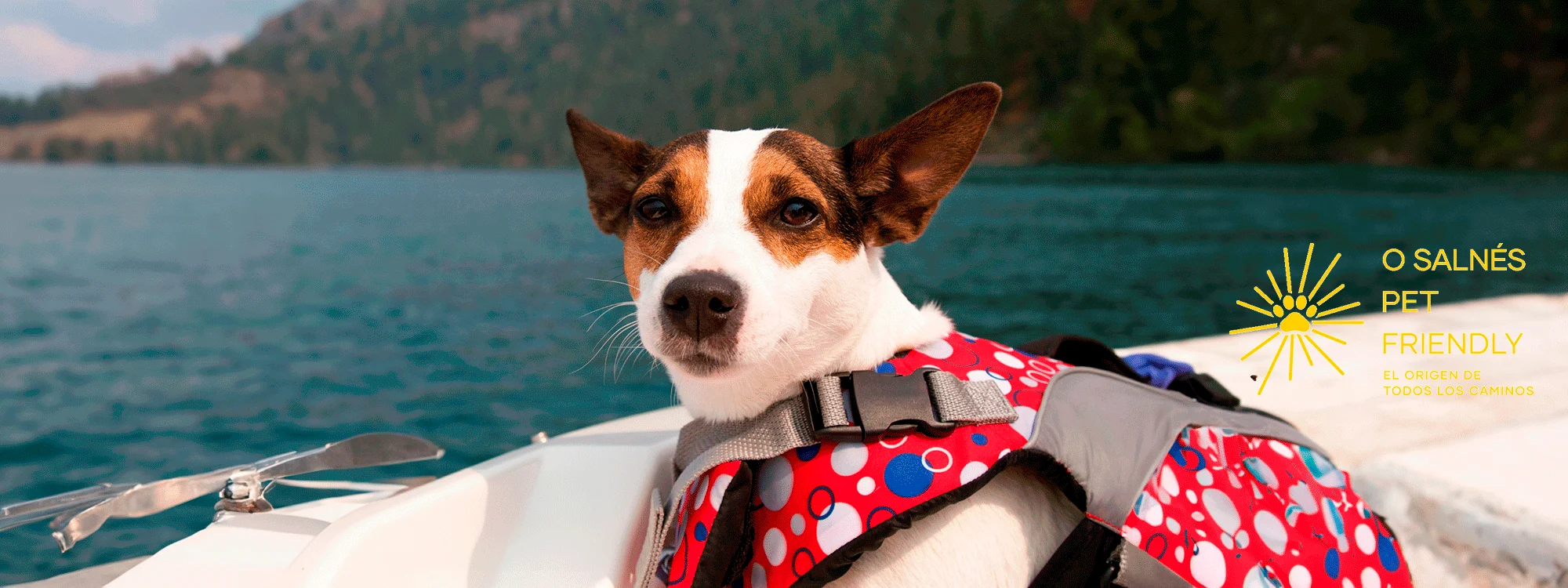 PERRO-EN-AGUA-LOGO-CORRECTO-PARA-PC